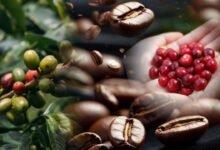 coffee rate drops in India 2026