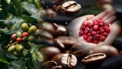 coffee rate drops in India 2026