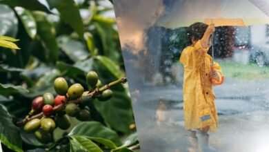 karnataka weather january 16