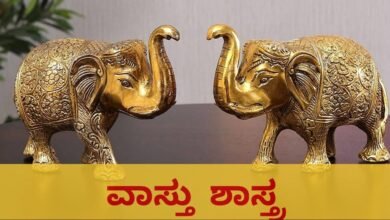 vastu tips for elephant statue
