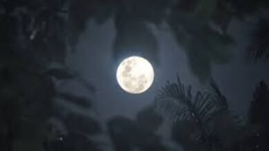 Magha Purnima 2026