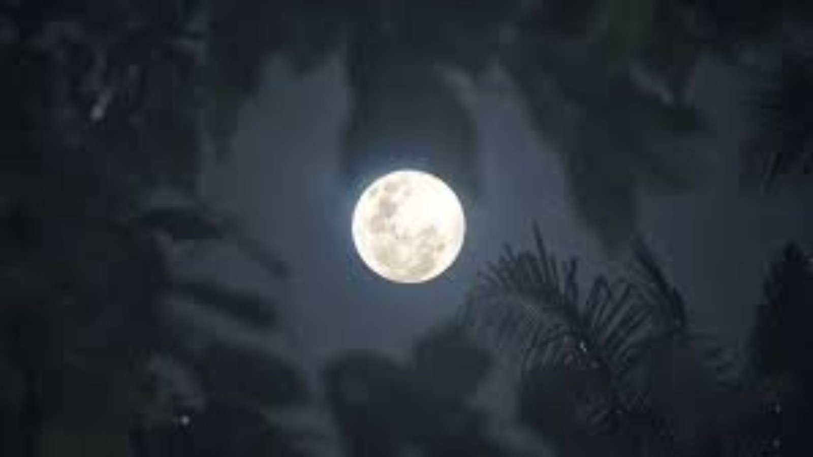 Magha Purnima 2026