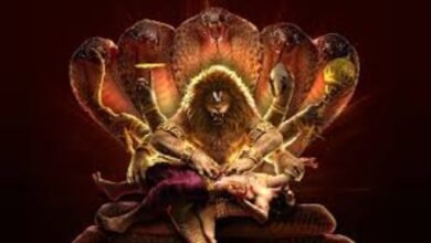 Mahavatar narasimha in TV