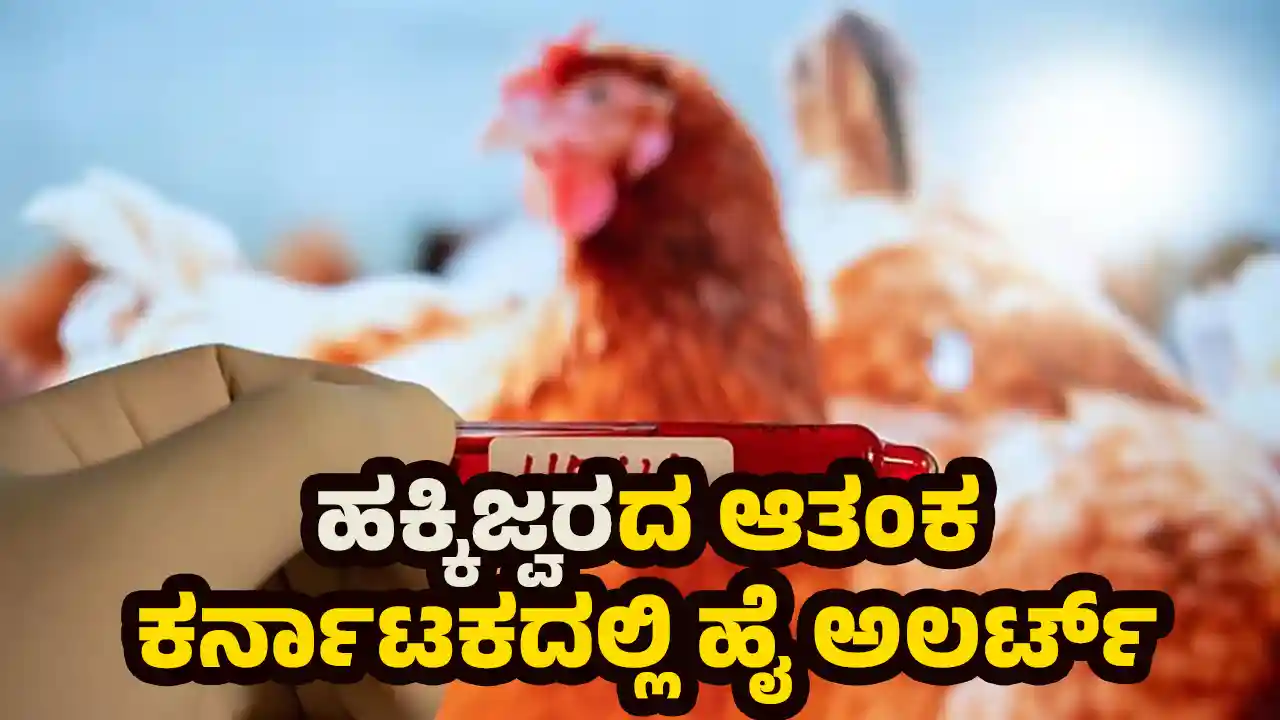 Bird flu fears Alert declared in Karnataka