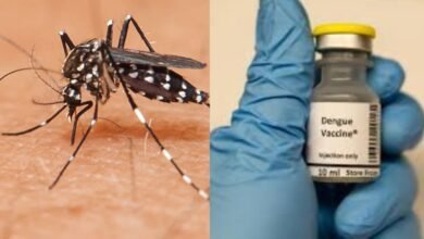 Dengue Vaccine