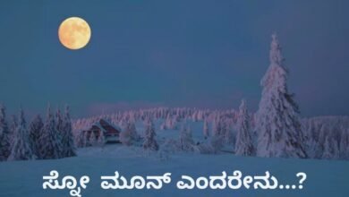 Full Moon Snow Moon Astrology
