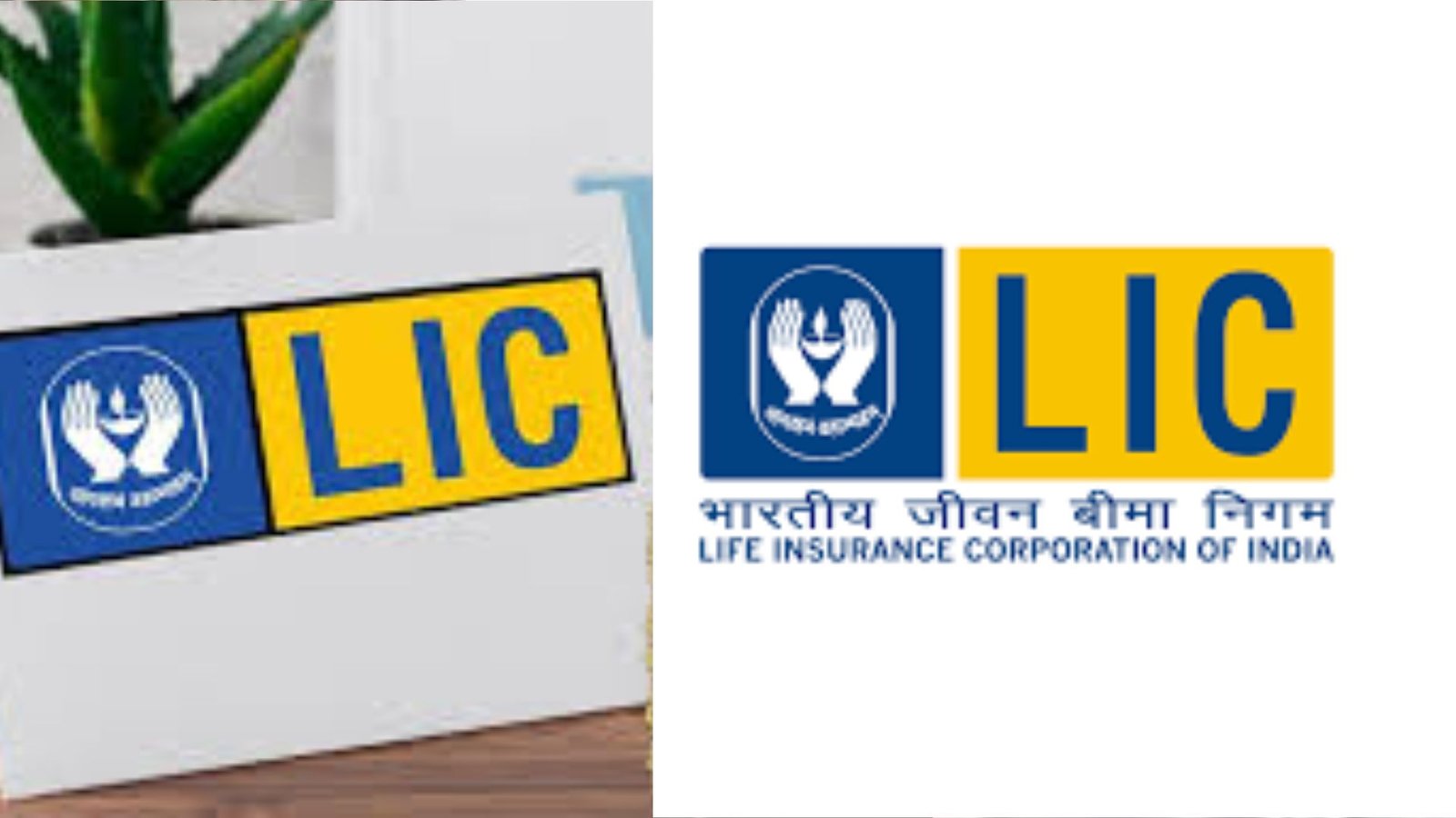 Can Government Use LIC Funds in war situations Is Your Money Safe or not