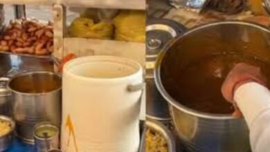 viral news rat found inside pani puri masala