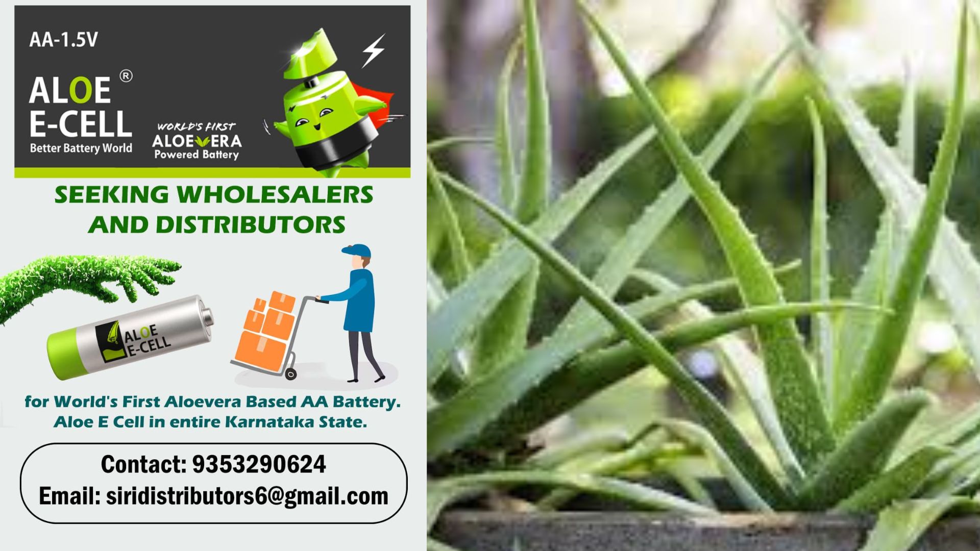 Worlds first Aloe Vera based battery golden opportunity for distributors across Karnataka