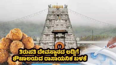 bathroom cleaning chemicals used to make Tirupati Tirumala laddu