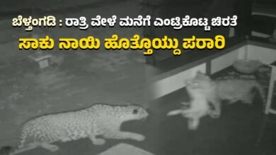 Beltangadi A leopard that entered the house at night ran away with a pet dog