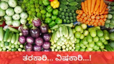 vegetables alert