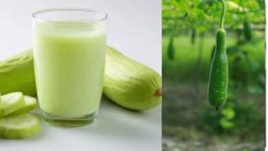 benefits of Drinking Bottle Gourd Lauki Juice on an Empty Stomach
