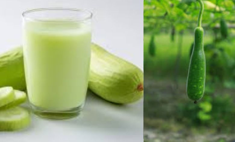 benefits of Drinking Bottle Gourd Lauki Juice on an Empty Stomach