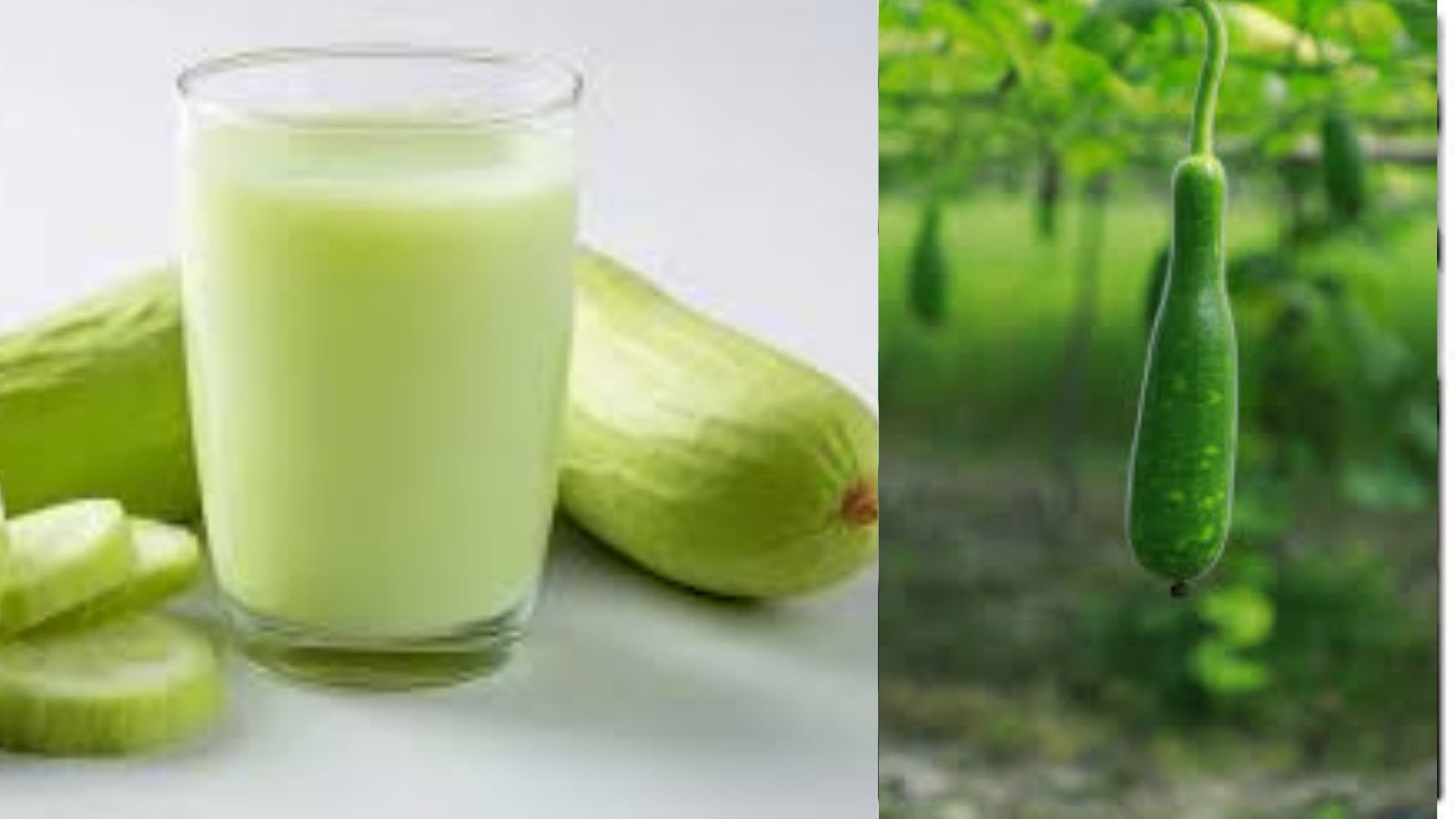 benefits of Drinking Bottle Gourd Lauki Juice on an Empty Stomach