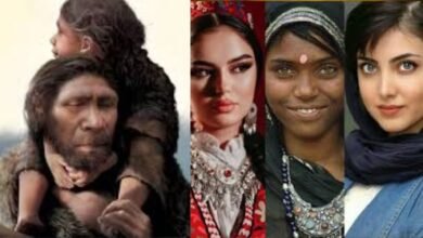 Is Indians are from Iran roots of ancestors of aryan theory