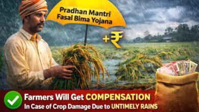 Pradhan Mantri Fasal Bima Yojana 2026 Farmers will get compensation in case of crop damage due to untimely rains