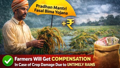 Pradhan Mantri Fasal Bima Yojana 2026 Farmers will get compensation in case of crop damage due to untimely rains