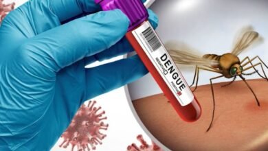 dengue vaccine