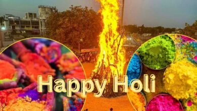importance of holi ash