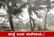 todays weather report