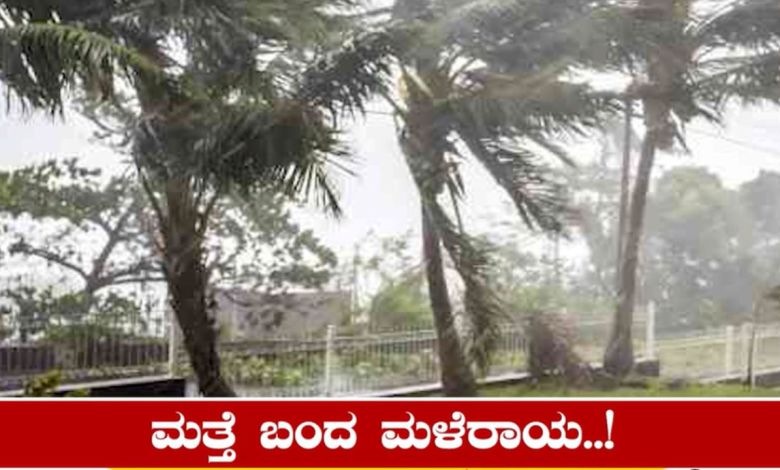 todays weather report