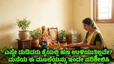 vastu tips for money saving and wealth kannada