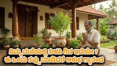 vastu tips tulsi plant mistakes to avoid kannada