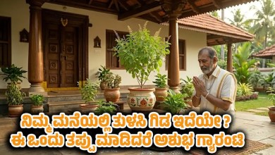 vastu tips tulsi plant mistakes to avoid kannada