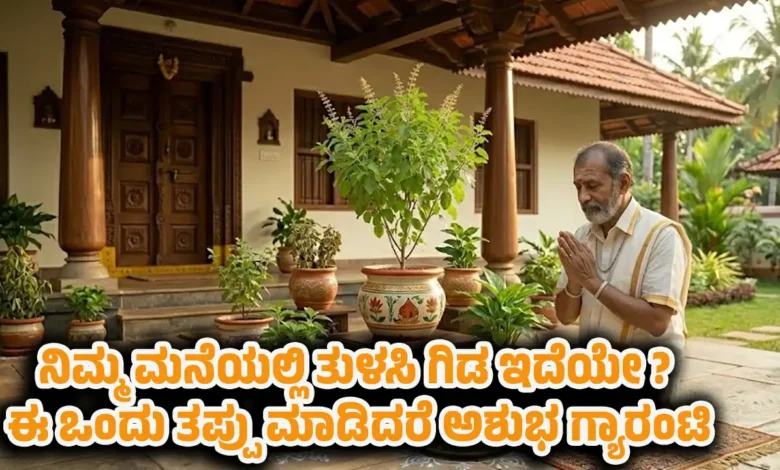 vastu tips tulsi plant mistakes to avoid kannada