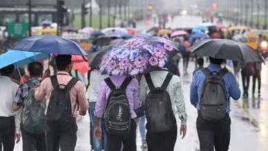 weather report march