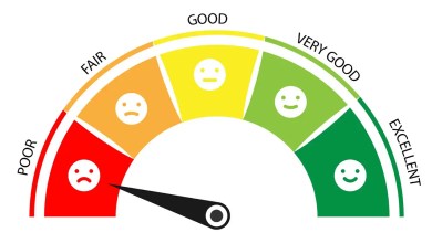 RBI weekly credit score update 2026 kannada Kannada