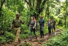 karnataka forest department sets new rules for trekking