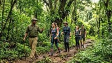 karnataka forest department sets new rules for trekking