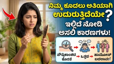 hair-fall-reasons-and-prevention-tips-in-kannada