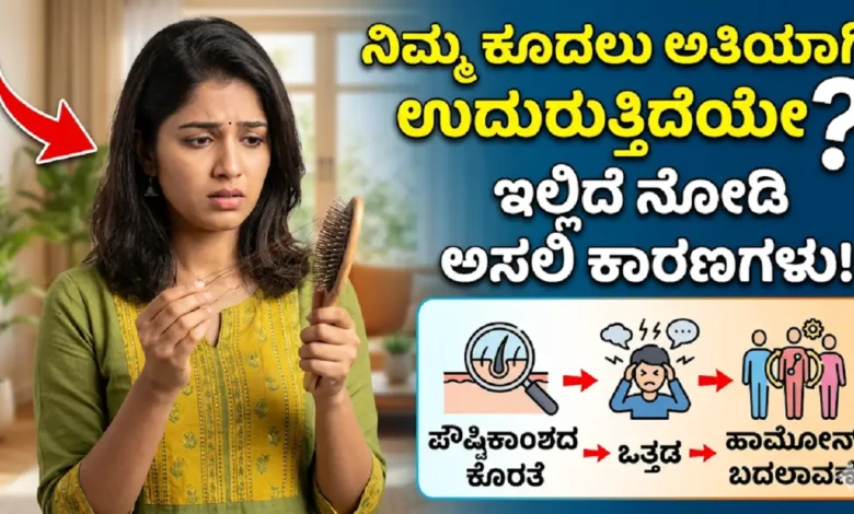 hair-fall-reasons-and-prevention-tips-in-kannada