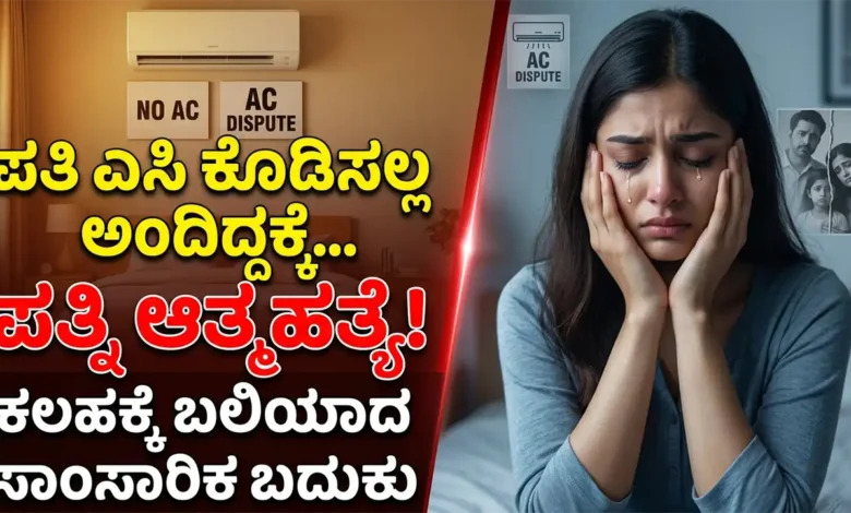 wife commits suicide husband refused to buy air conditioner karnataka news
