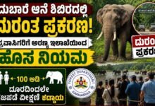 DubareElephantCamp