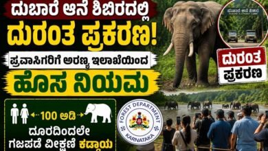 DubareElephantCamp