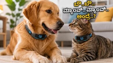 ನಿಮ್ಮ ನಾಯಿ, ಬೆಕ್ಕು ಮಾತಾಡುವುದನ್ನ ಕೇಳಿ ಹೌಹಾರಬೇಡಿ..! ಈ ಪೆಟ್ ಬೆಲ್ಟ್ನಿಂದ ಸಾಕುಪ್ರಾಣಿಗಳ ಭಾವನೆ ಬಹಿರಂಗ