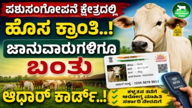 ಪಶುಸಂಗೋಪನೆ ಕ್ಷೇತ್ರದಲ್ಲಿ ಹೊಸ ಕ್ರಾಂತಿ.. ಜಾನುವಾರುಗಳಿಗೂ ಬಂತು ಆಧಾರ್ ಕಾರ್ಡ್..!