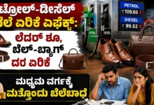 ಪೆಟ್ರೋಲ್-ಡೀಸೆಲ್ ಬೆಲೆ ಏರಿಕೆ ಎಫೆಕ್ಟ್: ಲೆದರ್ ಶೂ, ಬೆಲ್ಟ್-ಬ್ಯಾಗ್ ದರ ಏರಿಕೆ – ಮಧ್ಯಮ ವರ್ಗಕ್ಕೆ ಮತ್ತೊಂದು ಬೆಲೆಬಾಧೆ