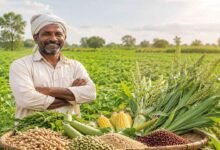 ರೈತರಿಗೆ ಕೇಂದ್ರದ ಗುಡ್ ನ್ಯೂಸ್! ಮುಂಗಾರು ಹಂಗಾಮಿನ ಬೆಳೆಗಳಿಗೆ ಬೆಂಬಲ ಬೆಲೆ ಹೆಚ್ಚಳ