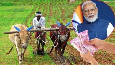 ರೈತರಿಗೆ ಸರ್ಕಾರದಿಂದ ಸಿಹಿ ಸುದ್ದಿ! ಖಾತೆಗೆ 6 ಸಾವಿರ ನೇರ ಜಮೆ, ಅರ್ಜಿ ಸಲ್ಲಿಸಿ
