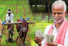 ಈ ರೈತರಿಗೆ ಮಾತ್ರ ಹಣ, ಉಳಿದವರಿಗೆ ಕಟ್! ಪಿಎಂ ಕಿಸಾನ್ ಯೋಜನೆಯಲ್ಲಿ ಪ್ರಮುಖ ನಿರ್ಧಾರ