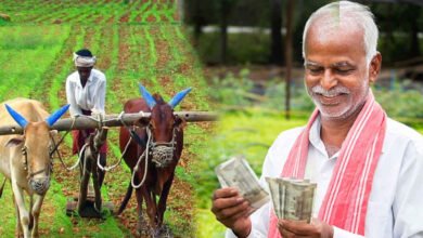 ಈ ರೈತರಿಗೆ ಮಾತ್ರ ಹಣ, ಉಳಿದವರಿಗೆ ಕಟ್! ಪಿಎಂ ಕಿಸಾನ್ ಯೋಜನೆಯಲ್ಲಿ ಪ್ರಮುಖ ನಿರ್ಧಾರ