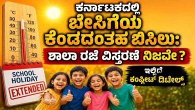 Summer heat in Karnataka Is school vacation extension true Here are the complete details