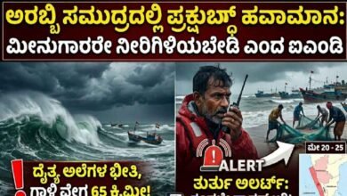 Turbulent Weather Predicted in Arabian sea, Fishermen Advised to Stay In
