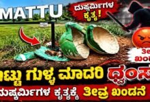 ಮಟ್ಟು ಗುಳ್ಳ ಮಾದರಿ ಧ್ವಂಸ: ದುಷ್ಕರ್ಮಿಗಳ ಕೃತ್ಯಕ್ಕೆ ತೀವ್ರ ಖಂಡನೆ