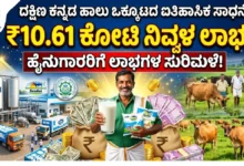 coastal dairy farmers